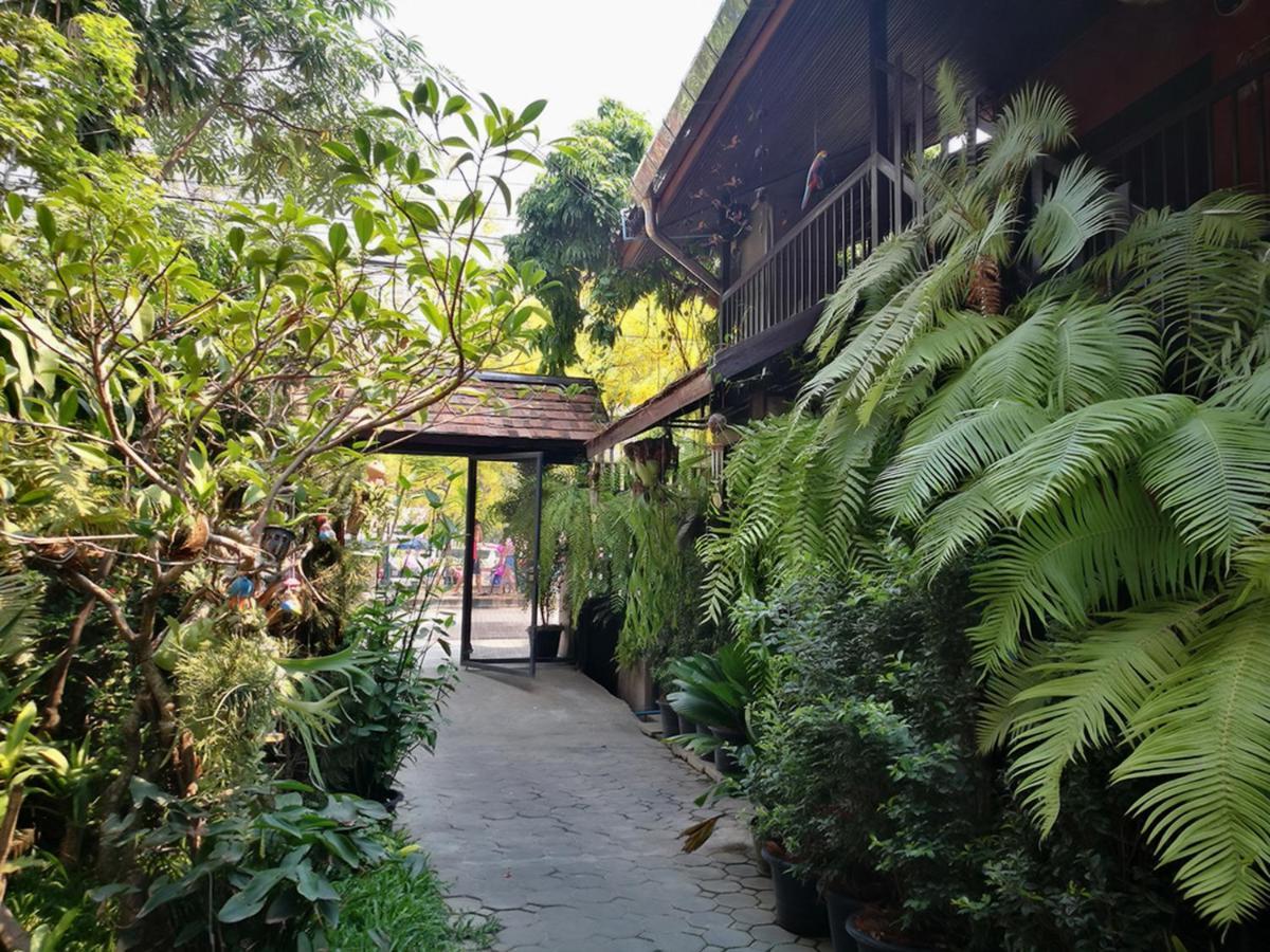 Hoh Guesthouse Chiang Mai Exteriör bild